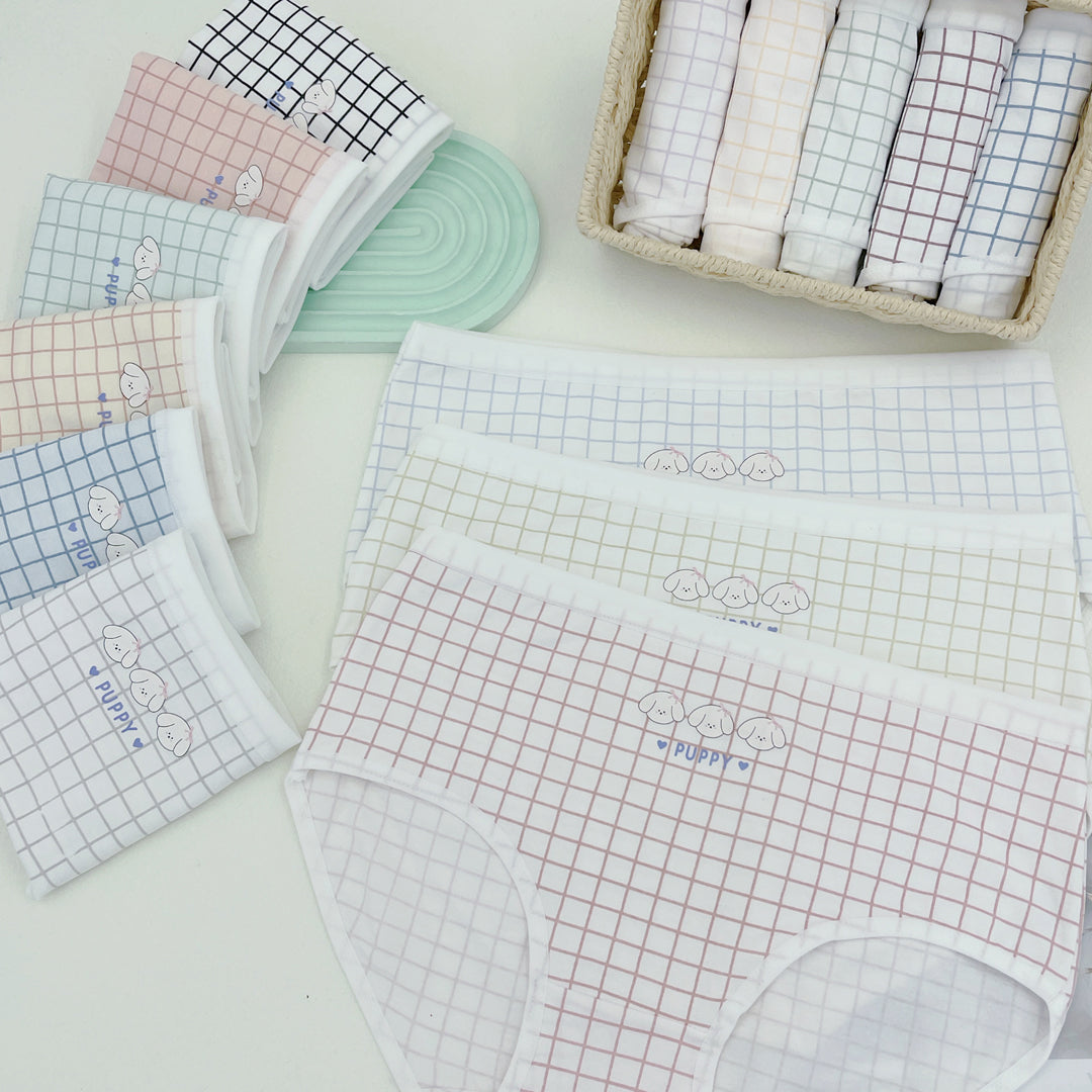 Women Checks Pattern Panties Combo