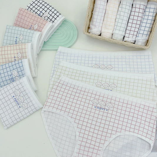 Women Checks Pattern Panties Combo